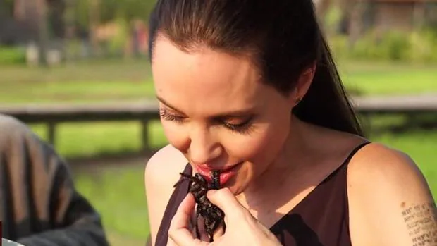 Grillos, gusanos, tarántulas y aceite de coco: la dieta de Angelina Jolie
