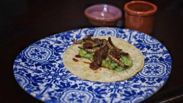 Nuevos platillos en la carta de Sed de México