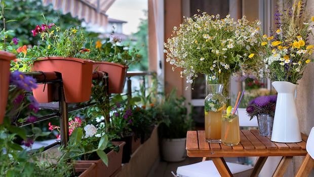 Qué tener en cuenta para las plantas y flores de la terraza esta primavera 2022