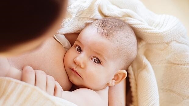 Sólo el 6% de las madres cuenta con medidas especiales en el trabajo para seguir con la lactancia