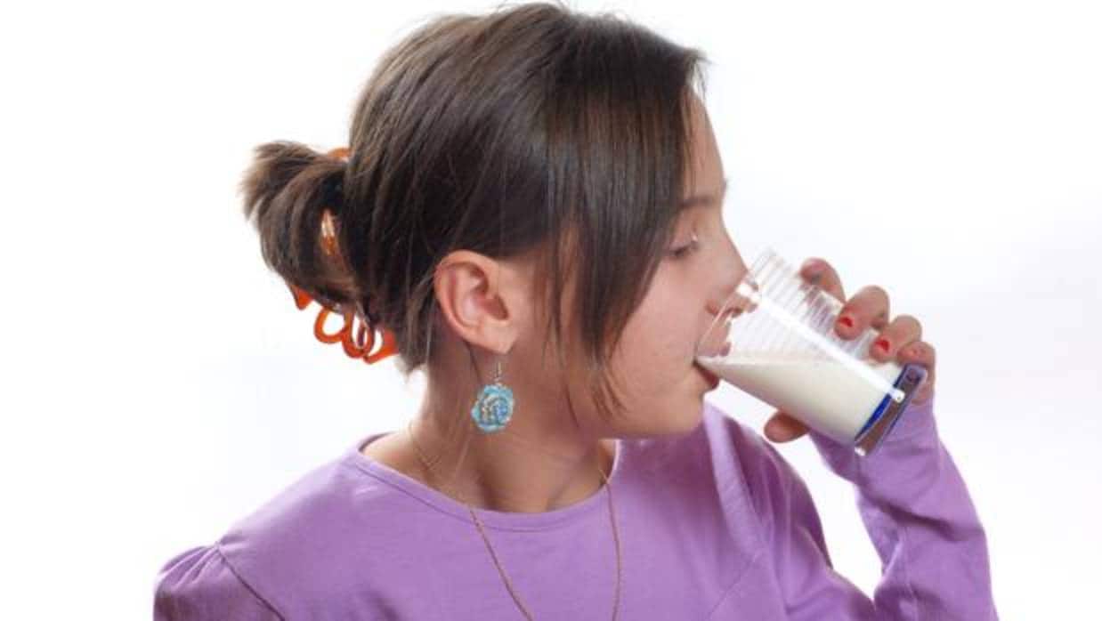 La leche y los productos lácteos, más necesarios aún durante la adolescencia