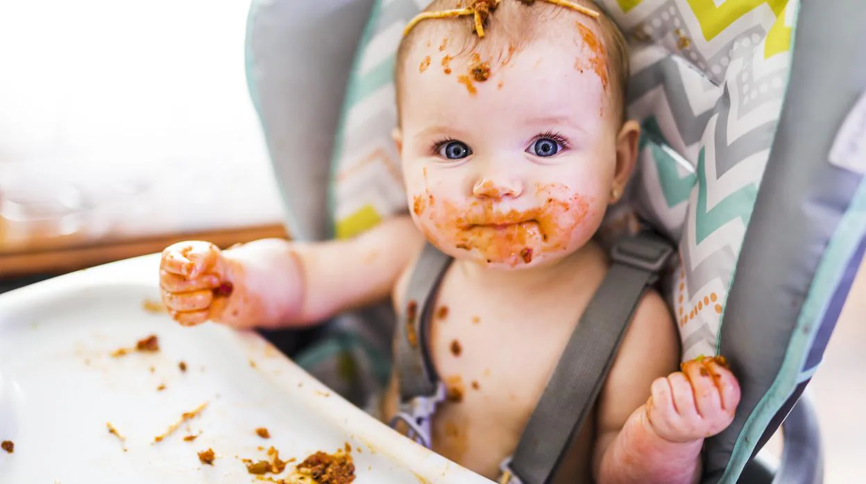 Baby led Weaning  Alimentación complementaria para bebés