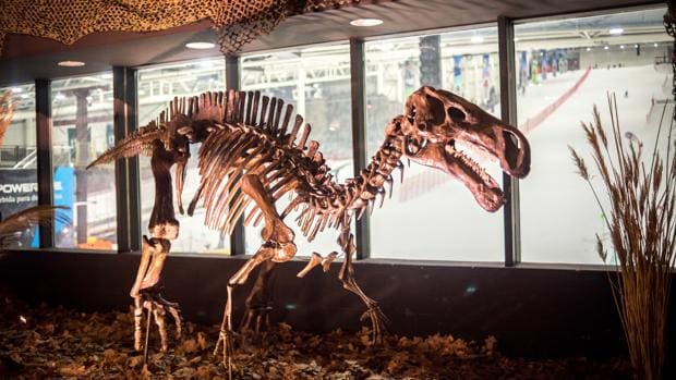 Una de las exposiciones más importantes de dinosaurios llega a Madrid