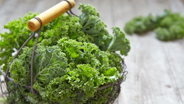 Beneficios del kale: con más calcio que la leche y más vitamina C que la naranja