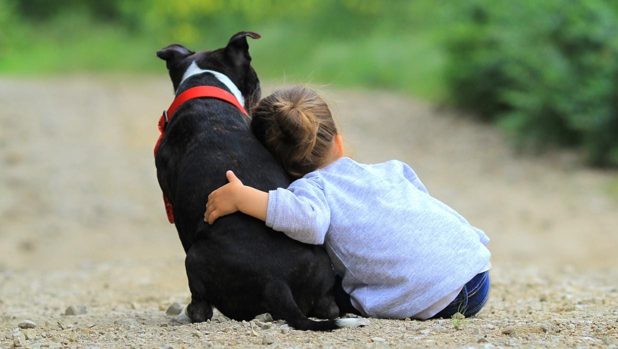 Un neuropediatra recomienda los beneficios de las terapias con perros para niños con TDAH
