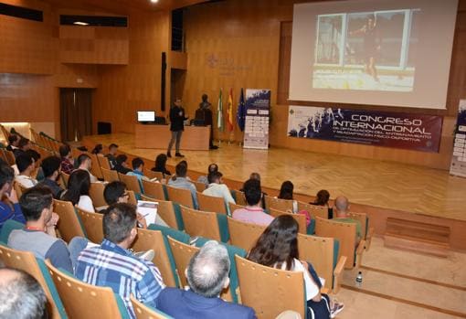 Grado universitario, ciclos superiores y posgrados completan una amplia oferta deportiva en el Campus CEU Andalucía