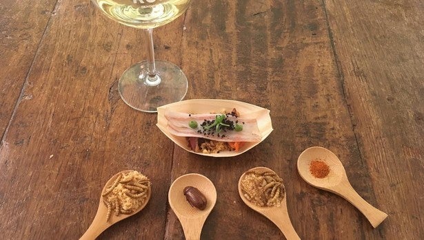 Catas de insectos con vino, propuesta innovadora... y nutritiva