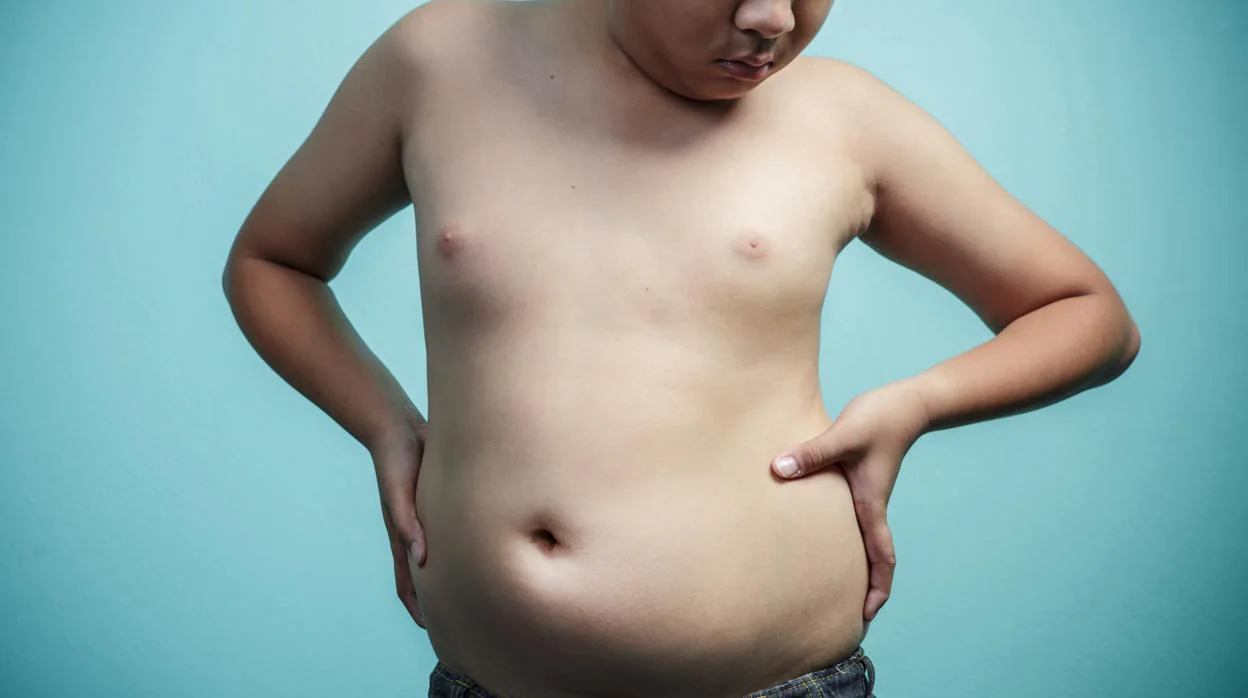 «No existen niños con sobrepeso, sino familias obesas»