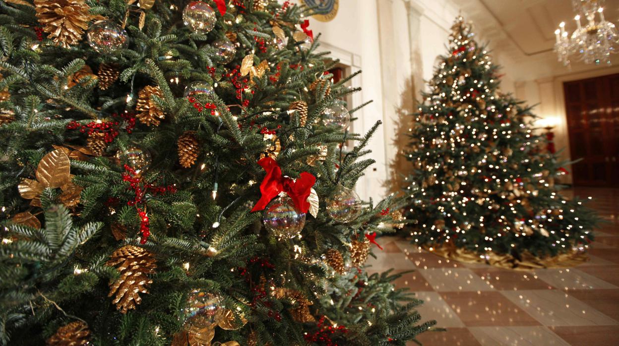anfitriona Y equipo Cirugía Si quieres ser más feliz, pon ya el árbol de Navidad en casa