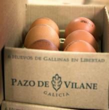 La caja define los huevos de Pazo de Vilane