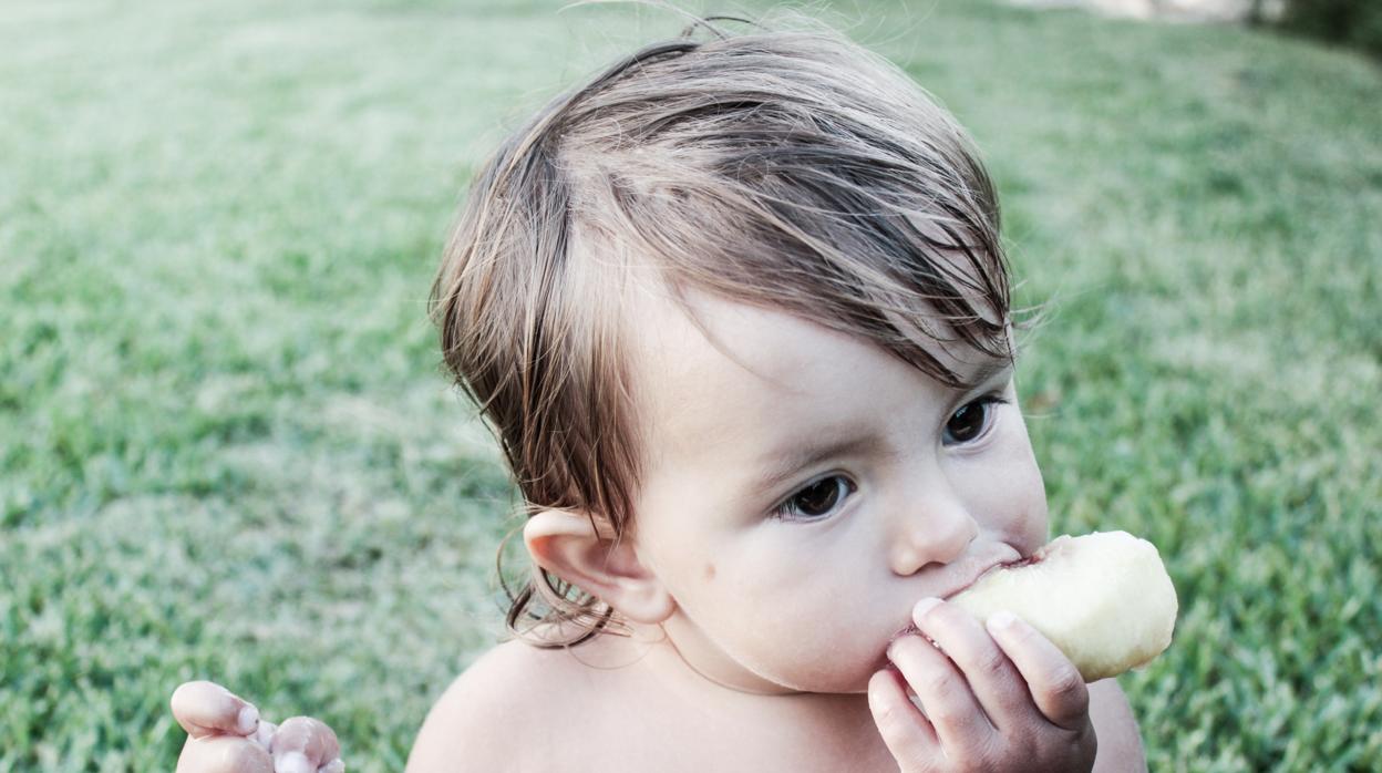 Baby-led weaning (BLW): alimentación complementaria autorregulada por el  bebé