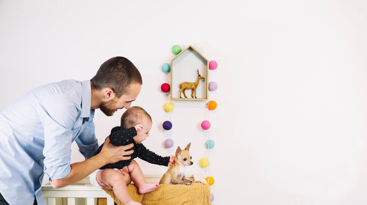 Así debes preparar a tu mascota ante la llegada de tu bebé