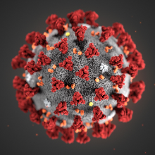 Desinfectar bien la casa y la ropa: la mejor manera de prevenir el contagio de coronavirus