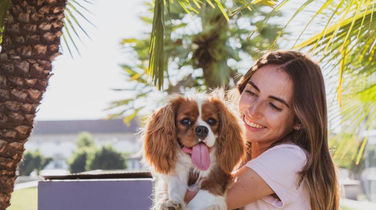 Una empresa concede permisos de paternidad remunerados a los empleados que acojan una mascota