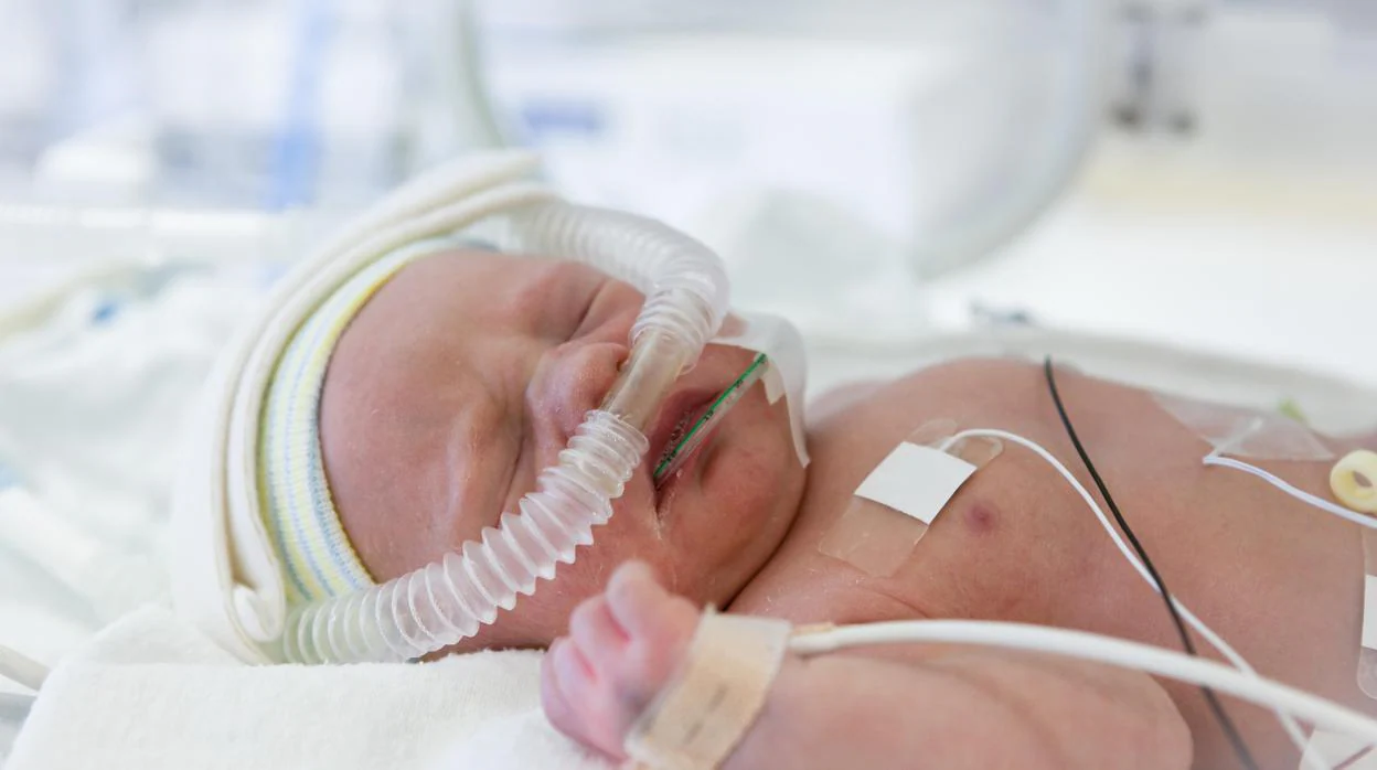El cuidado nutricional del bebé prematuro es clave para un mejor  neurodesarrollo y un mayor crecimiento