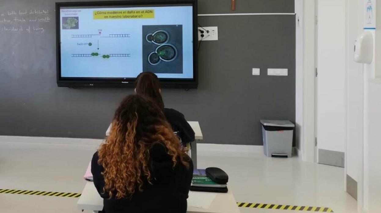 Los alumnos de Educación Secundaria del Colegio CEU San Pablo Sevilla participan en la Semana de la Ciencia