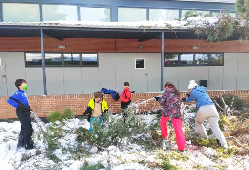 Varias madres acompañadas de sus hijos intentan despejar la zona de las ramas caídas
