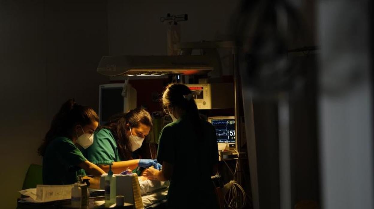 Unidad de cuidados neonatales intensivos del Hospital 12 de Octubre