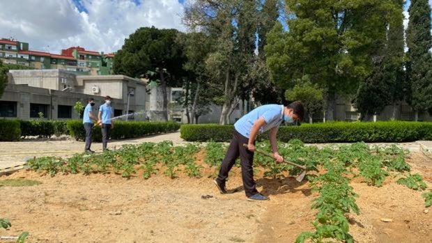 Huerto solidario de los alumnos de 4º de ESO de Altair