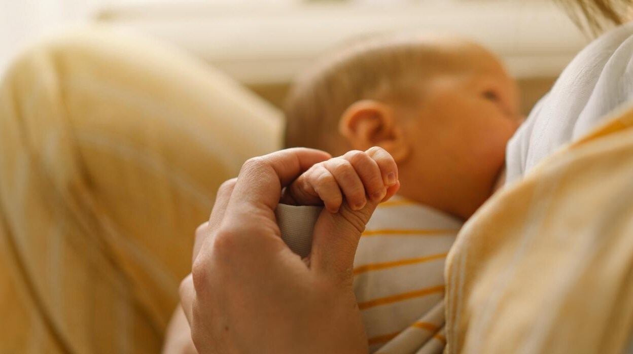 pavo Manual Existe Un nuevo estudio sugiere que la lactancia materna puede ayudar a prevenir  el deterioro cognitivo