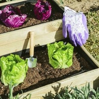 Imagen - Huerto Urbano Catral