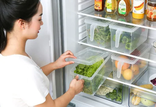 Memorizar Bañera Ritual Organizador de frigorífico, los mejores accesorios para ordenar la nevera