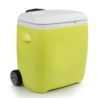 Imagen - Nevera verde 18 L