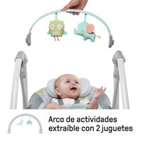Imagen - Columpio compacto Ingenuity