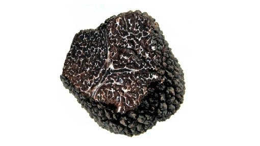 Regalos de Navidad 2021 para cocinillas y foodies de cualquier nivel