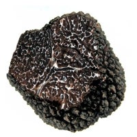 Imagen - Trufa fresca