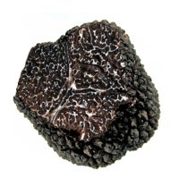 Imagen - Trufa fresca