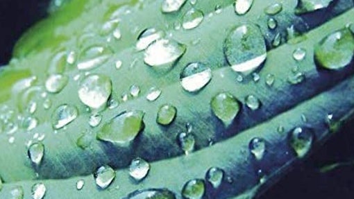 Las diez mejores cremas hidratantes para pieles grasas