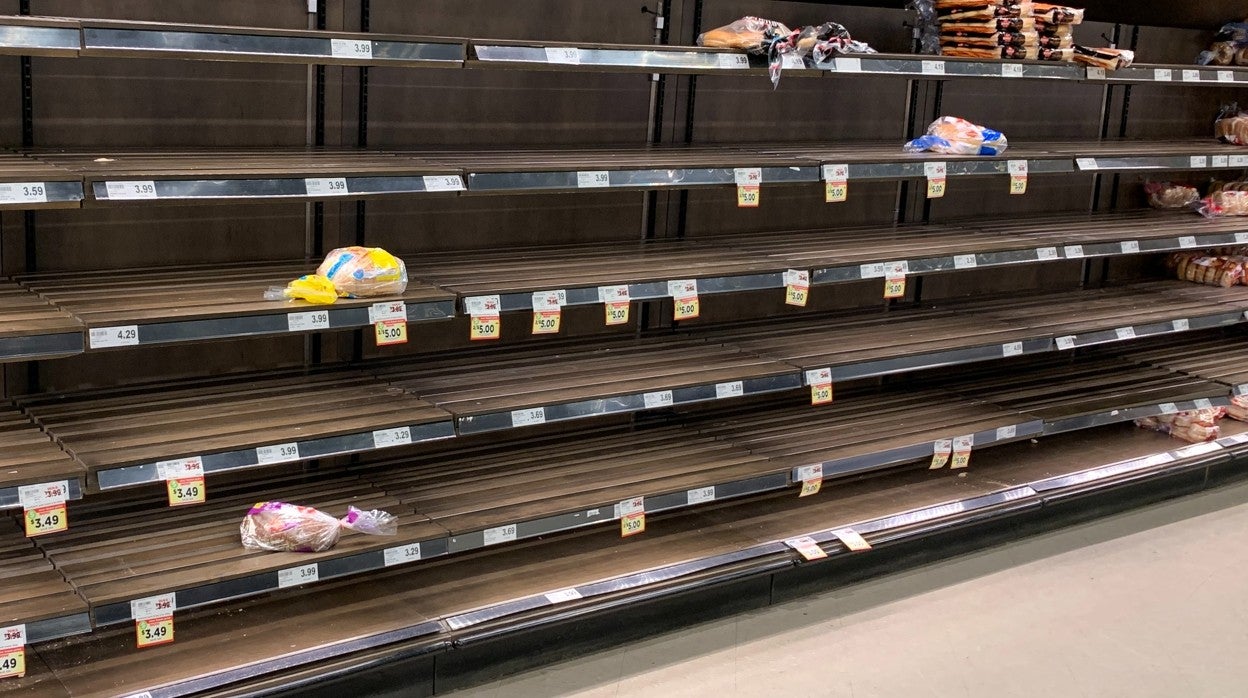 Compra aquí y evita el riesgo de desabastecimiento en supermercados: leche, aceite, pasta, harina, cerveza…