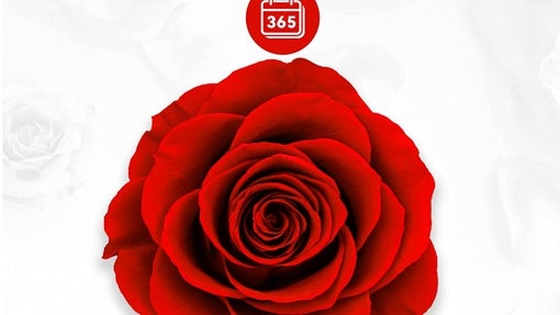 Regalos originales y económicos para el Día de la Madre