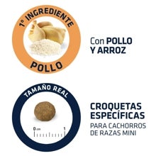 ¿Cuáles son los mejores piensos para cachorros?