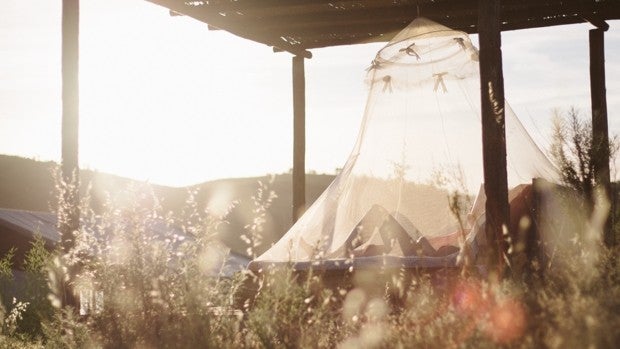 Equipa tu casa con las mejores mosquiteras