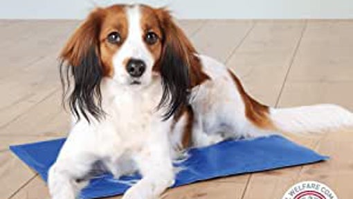 Trixie Alfombrilla Refrescante para perros