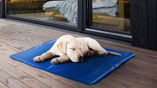 FurDreams Alfombrilla refrescante para Mascotas