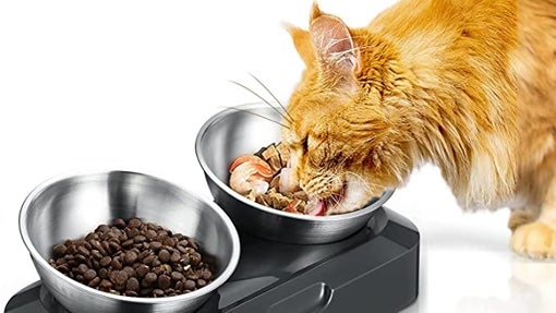 Gato comiendo del comedero antideslizante