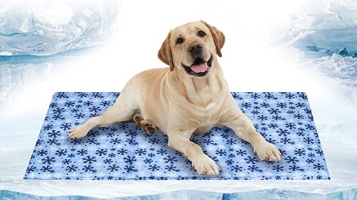 Perro tumbado sobre manta refrescante