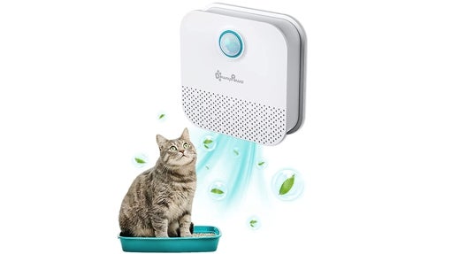 Purificador de olores