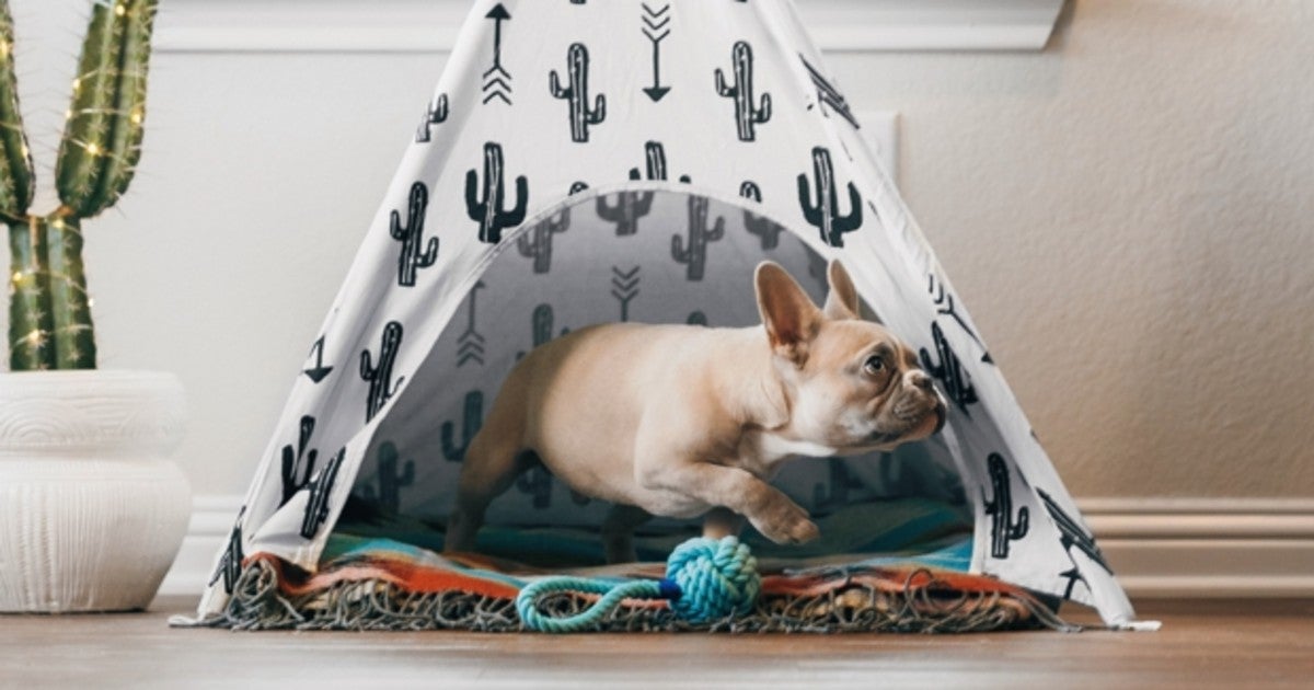 Tipi para mascota
