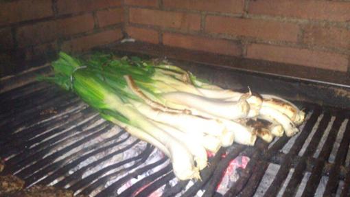Los calçots en la brasa de Can Punyetes