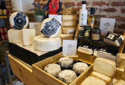 Variedad de quesos de La Cabezuela, especialidades hechas con leche de cabras de la sierra de Guadarrama