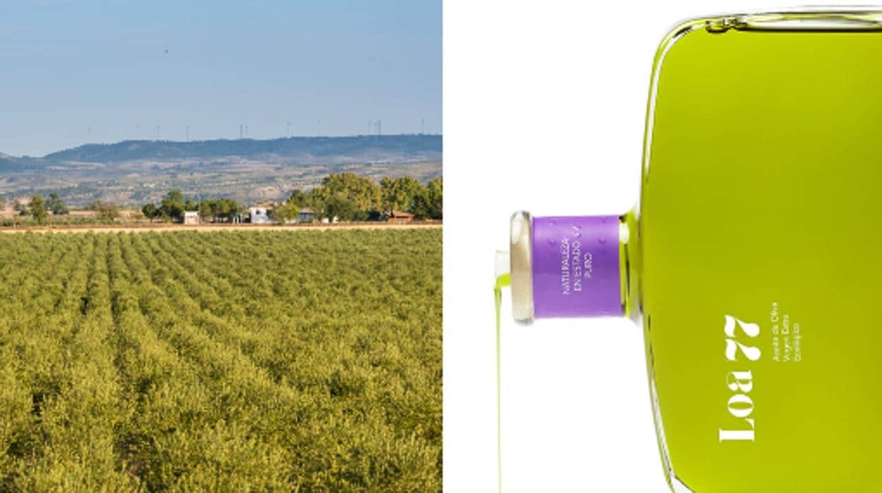 Uno de los mejores aceites de oliva virgen extra de España, ¿hecho en Madrid?