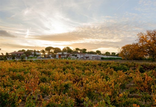 Bodegas Hnos. Pérez Pascuas, Viña Pedrosa