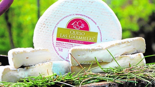 Queso de Las Garmillas