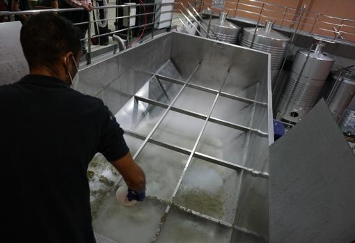 Un operario de la bodega Ramón Bilbao de Rueda esparce hielo seco tras haber rociado dióxido de carbono sobre las uvas recién volcadas sobre la tolva de recepción para evitar su oxidación