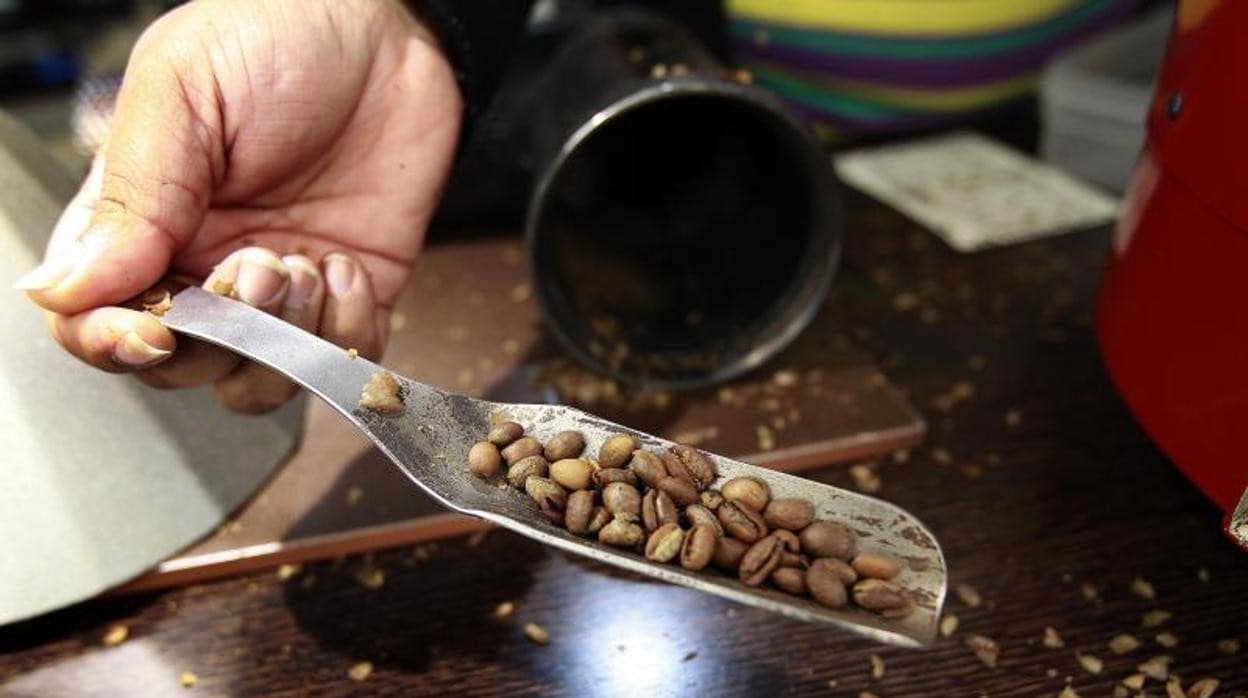 En la imagen, café de Colombia recién tostado