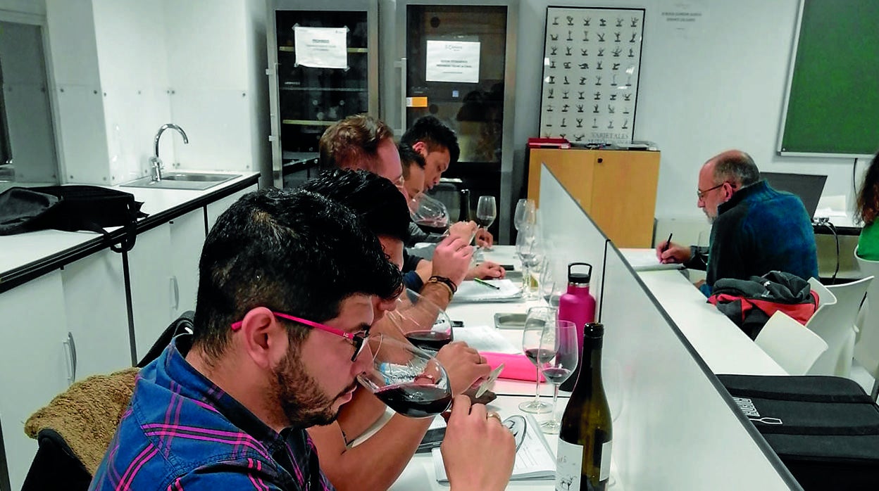 Curso de sumillería de la Cámara de Comercio de Madrid